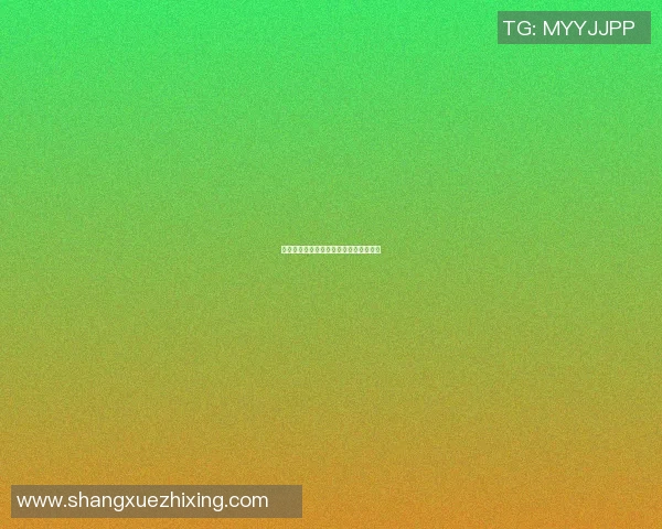 斯洛伐克足球明星的辉煌历程与成就盘点